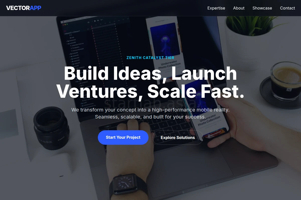 Vector App Development