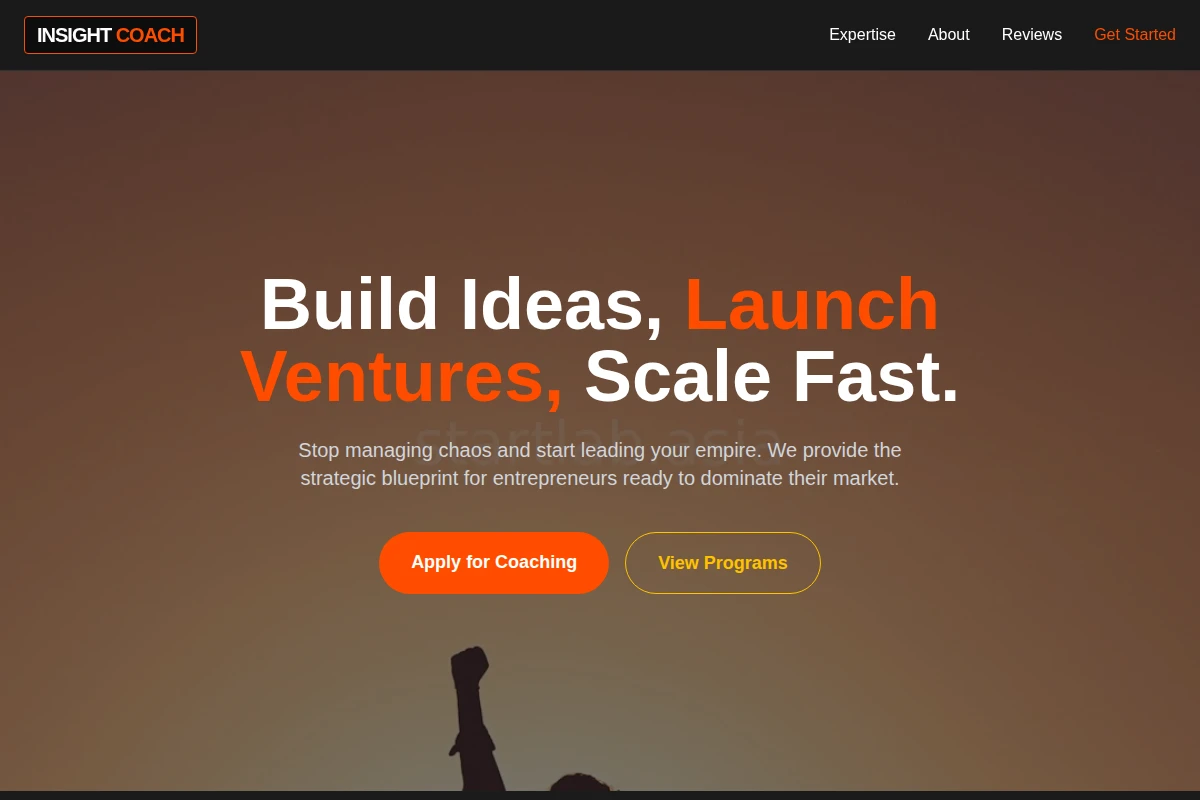 Insight Business Coach