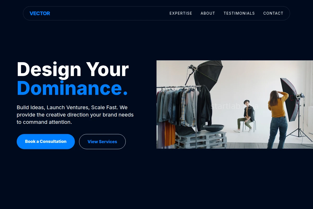 Vector Creative Direction